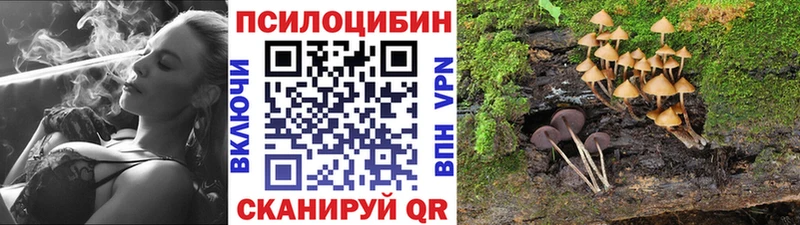 наркошоп Новоалтайск Галлюциногенные грибы GOLDEN TEACHER